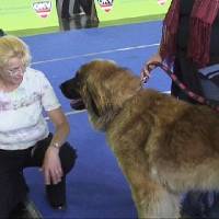 Salzburg Clubschau Mai 06 061 